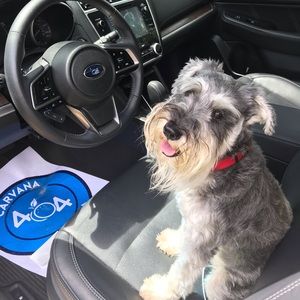 Meet your Posher, Katrina